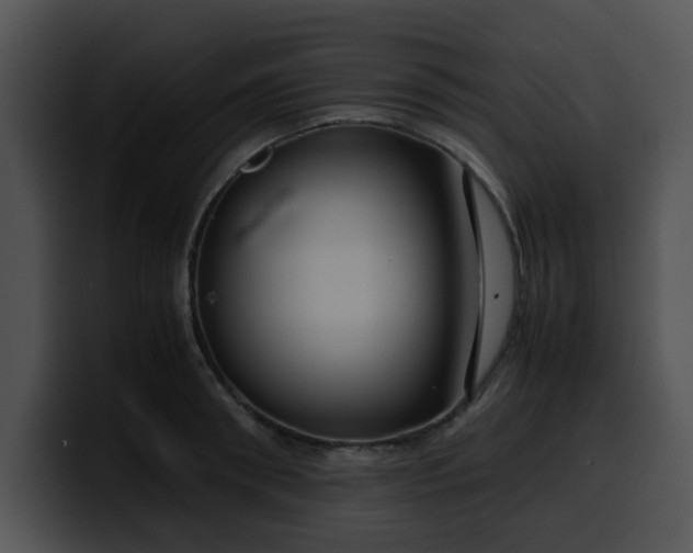 X0000099980898200806061521