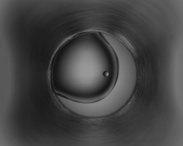 X0000099980900200806061521