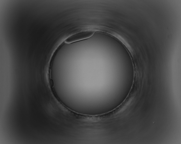 X0000099980901200806061521