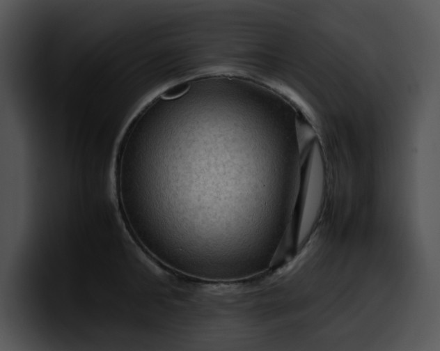 X0000099980902200806061521