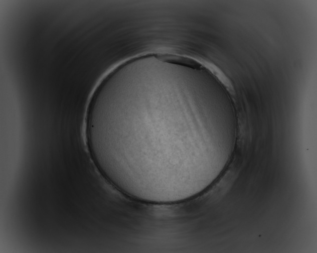 X0000099980904200806061521