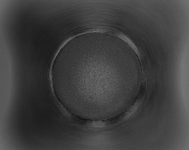 X0000099980907200806061521