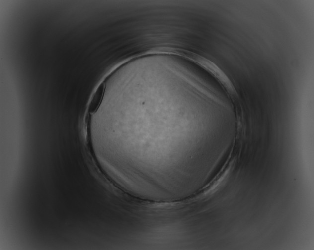 X0000099980908200806061521