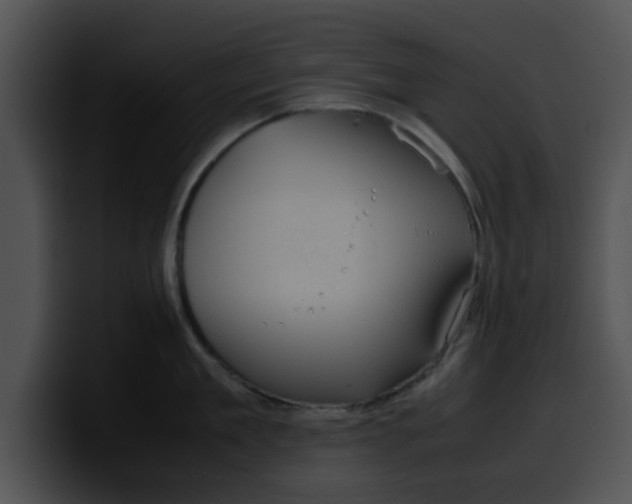 X0000099980909200806061520