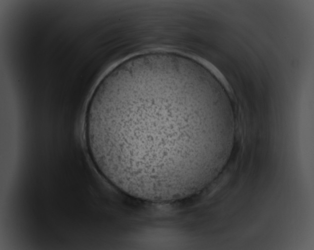 X0000099980911200806061520