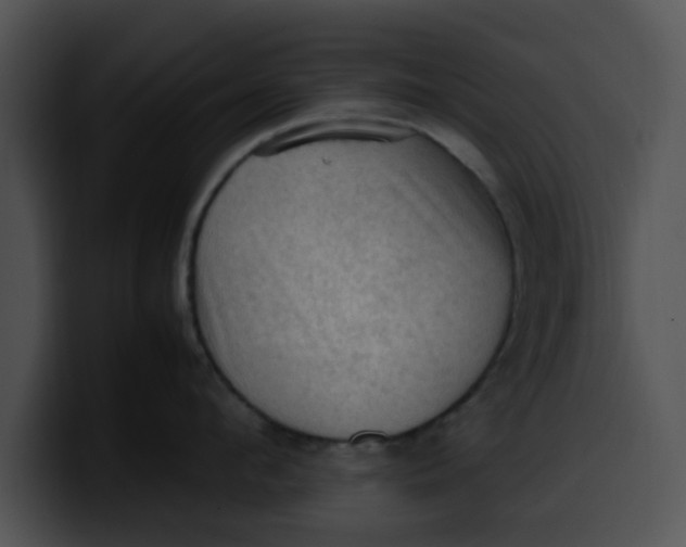 X0000099980912200806061520