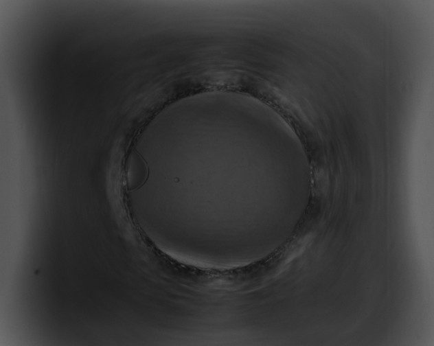 X0000099980913200806061520