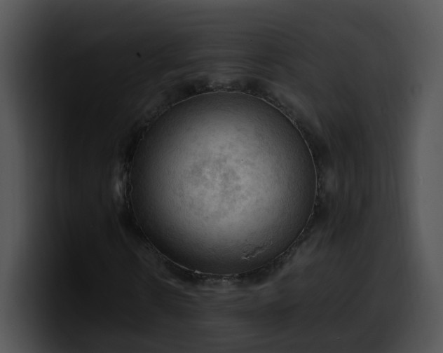 X0000099980914200806061520