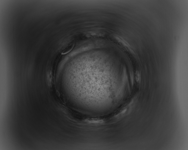 X0000099980915200806061520