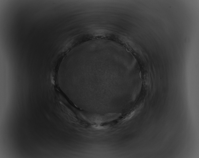 X0000099980916200806061520