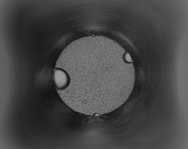 X0000099980918200806061520