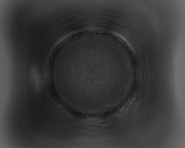 X0000099980919200806061520