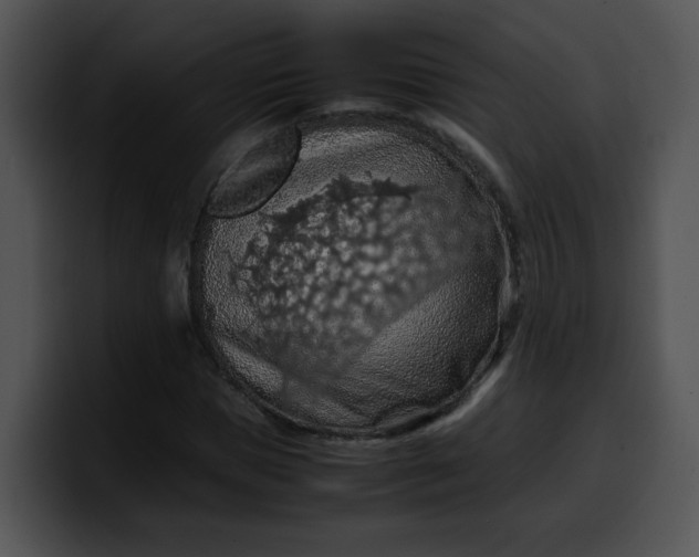 X0000099980921200806061520