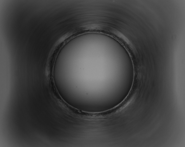 X0000099980922200806061520