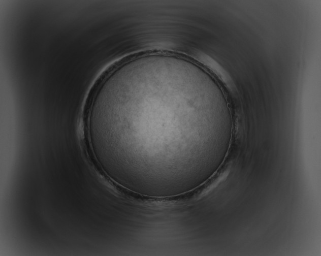 X0000099980924200806061520