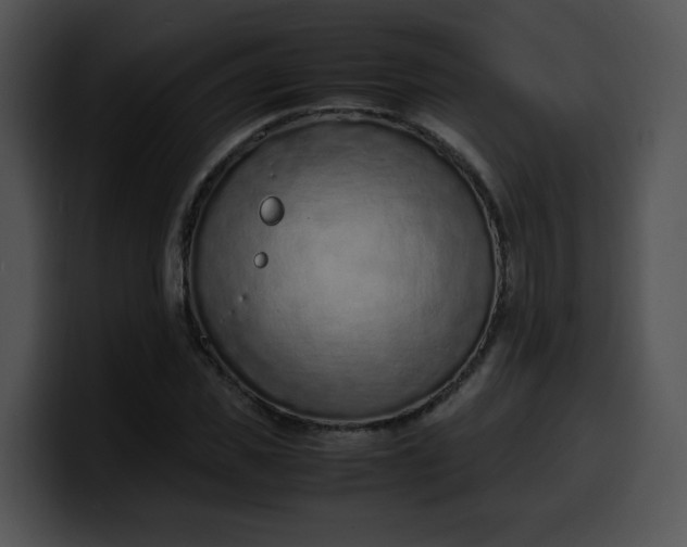 X0000099980925200806061520