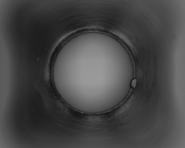 X0000099980927200806061520