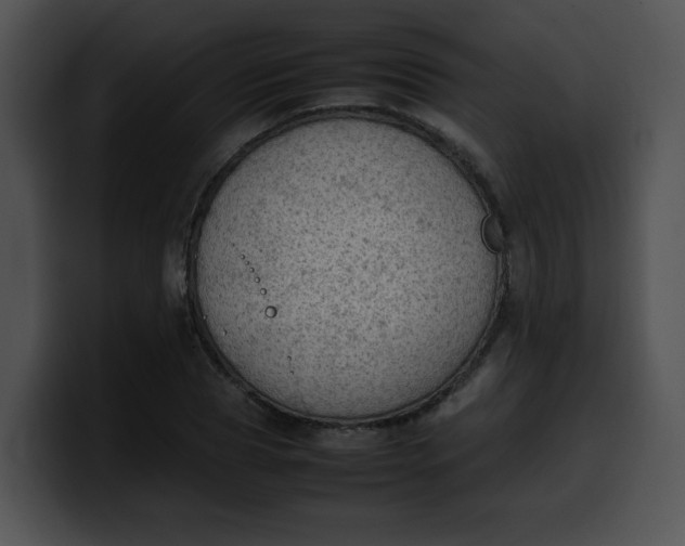 X0000099980929200806061520