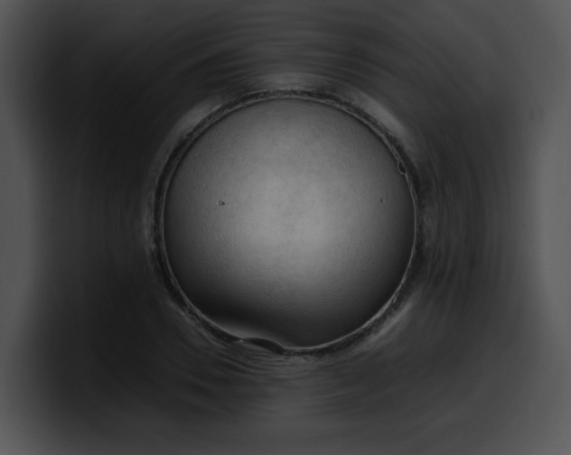 X0000099980930200806061520