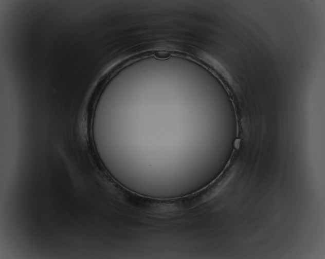 X0000099980931200806061520