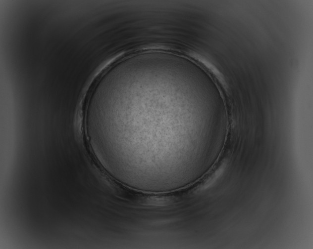 X0000099980933200806061520