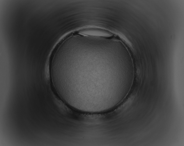 X0000099980934200806061520