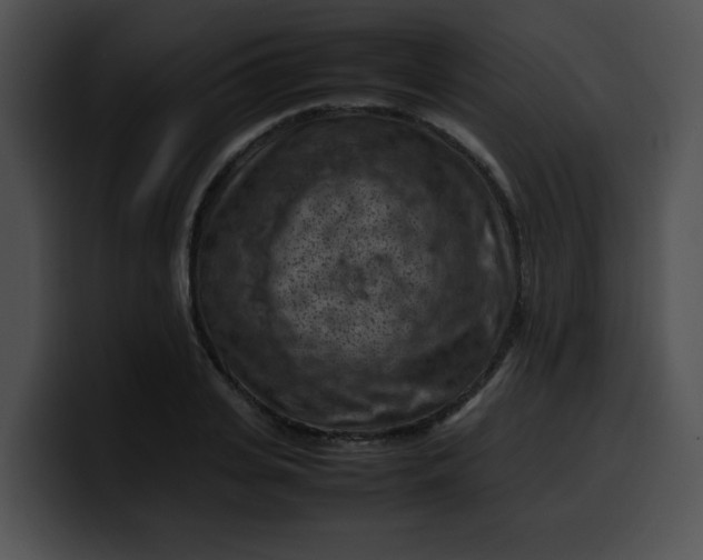 X0000099980935200806061520