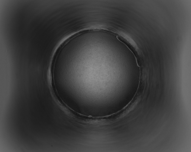 X0000099980936200806061520