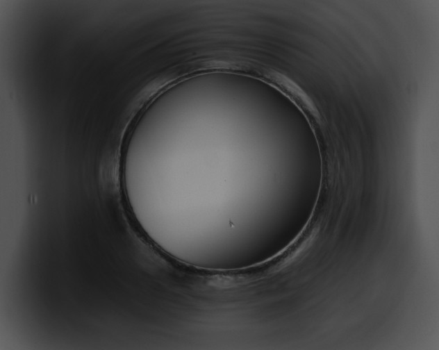 X0000099980938200806061520