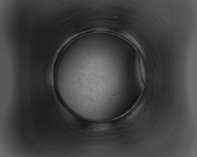 X0000099980939200806061520