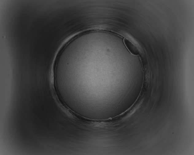 X0000099980940200806061520