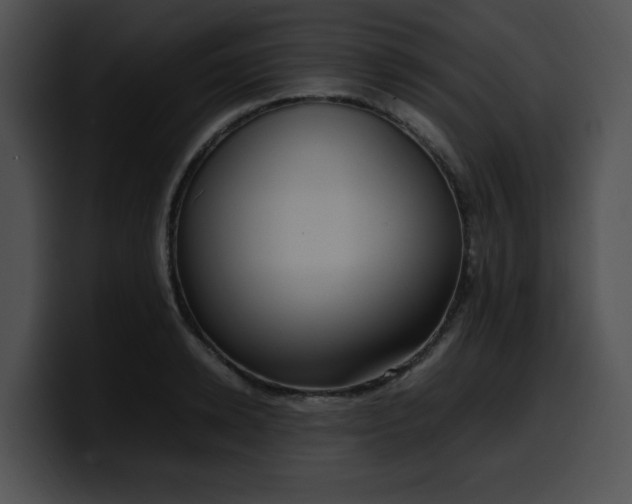 X0000099980942200806061520