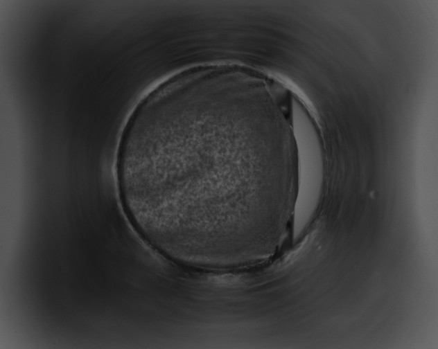 X0000099980943200806061520