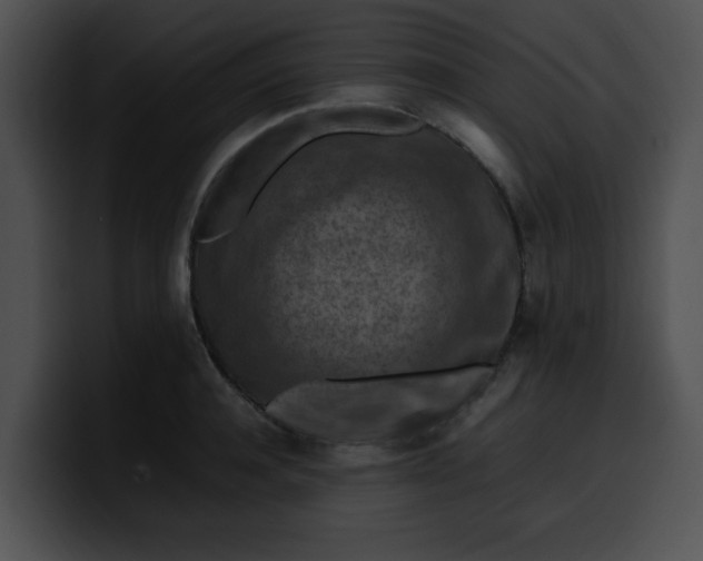 X0000099980944200806061520