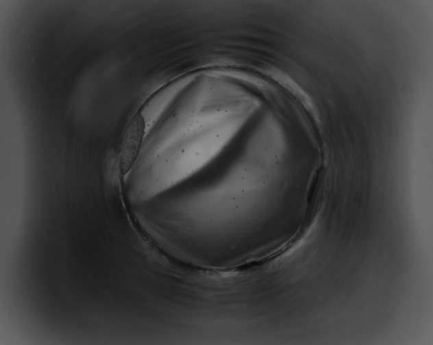 X0000099980945200806061520