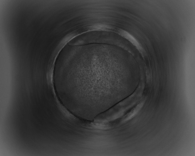 X0000099980946200806061520