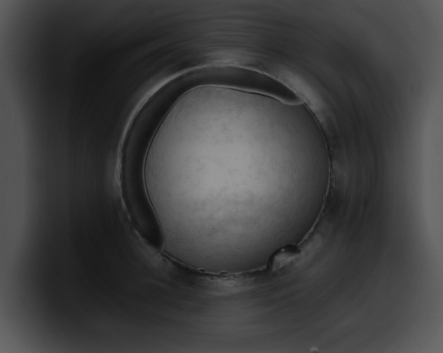 X0000099980948200806061520