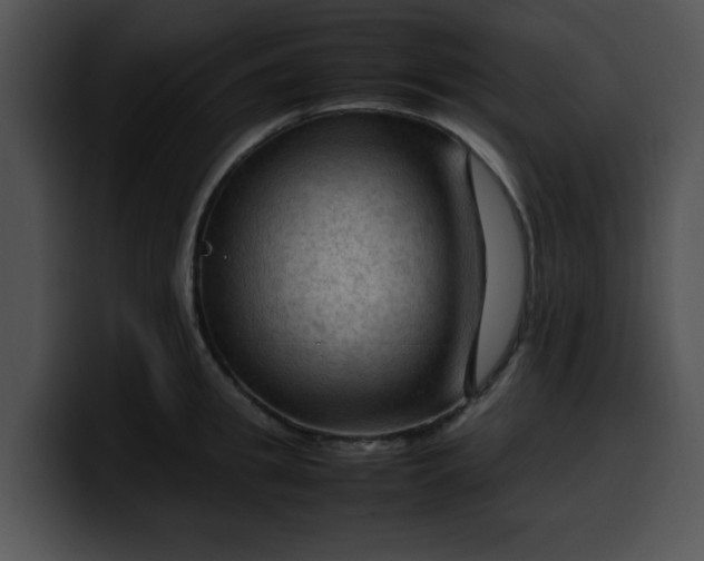 X0000099980949200806061520