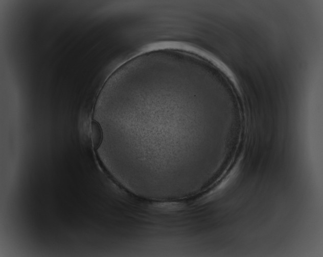 X0000099980953200806061520