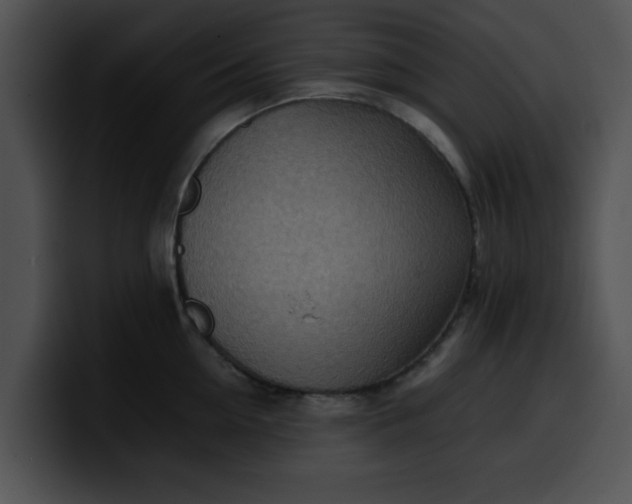 X0000099980954200806061520