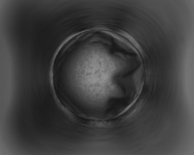 X0000099980955200806061520