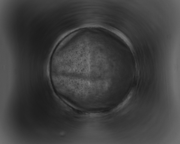 X0000099980958200806061520