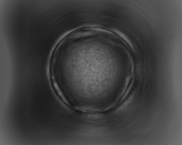 X0000099980959200806061520