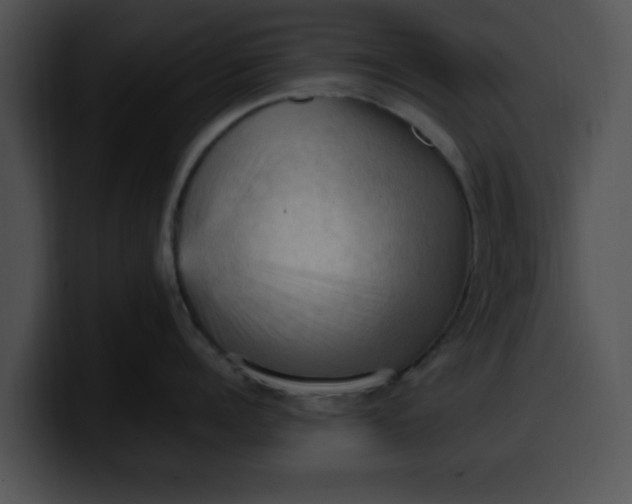 X0000099980960200806061520