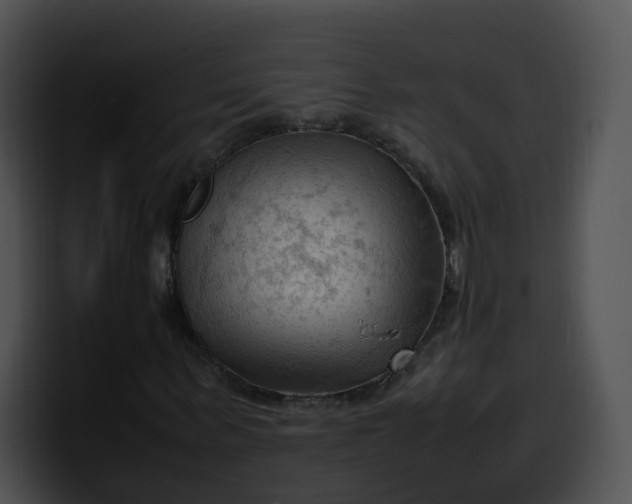 X0000099980963200806061520