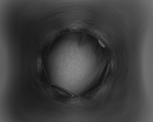 X0000099980964200806061520