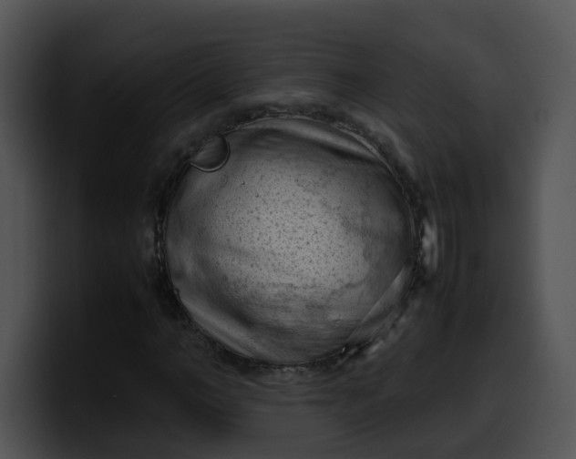 X0000099980966200806061520