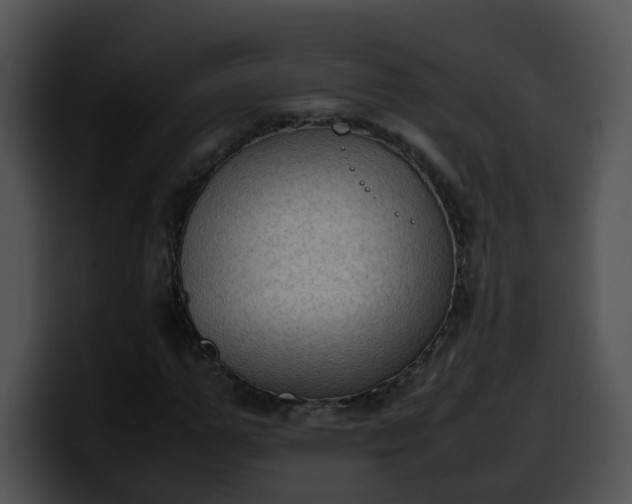 X0000099980967200806061520