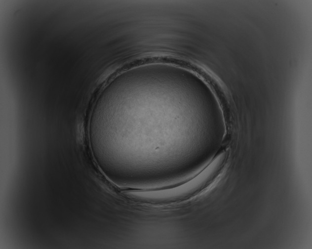 X0000099980969200806061520