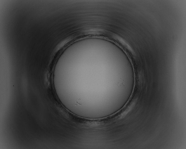 X0000099980970200806061520